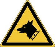 W013 - Guard dog